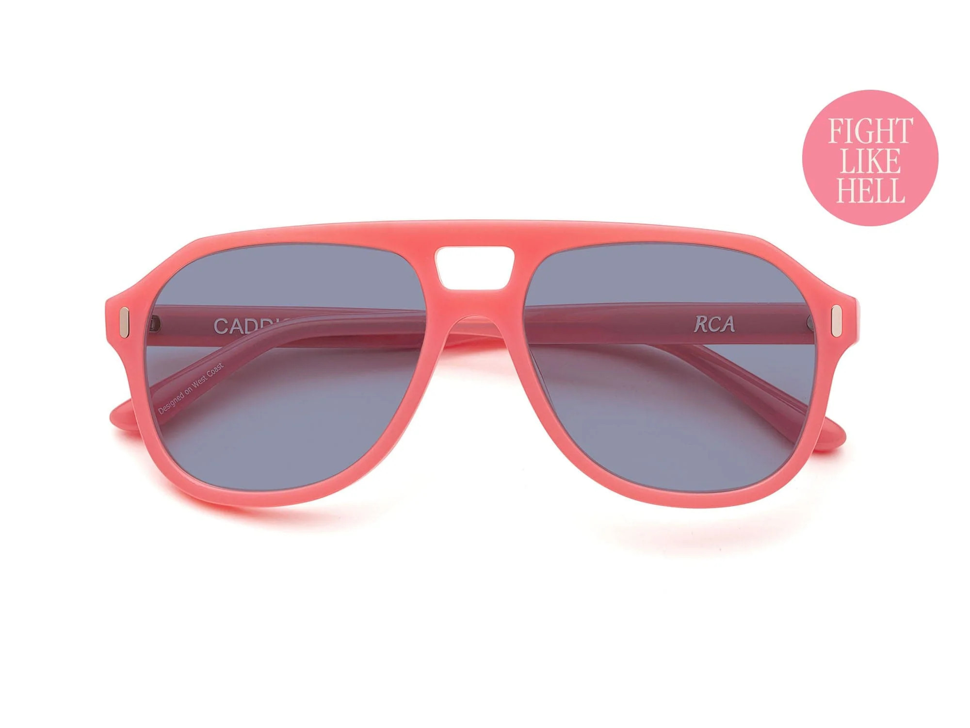 Root Cause Analysis | Zeiss LightPro Sunglasses | CADDIS