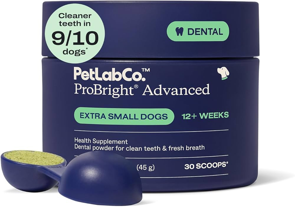 PetLab Co. ProBright Advanced Dental Powder - Dog Breath Freshener - Teeth Cleaning Made Easy \u2... | Amazon (US)