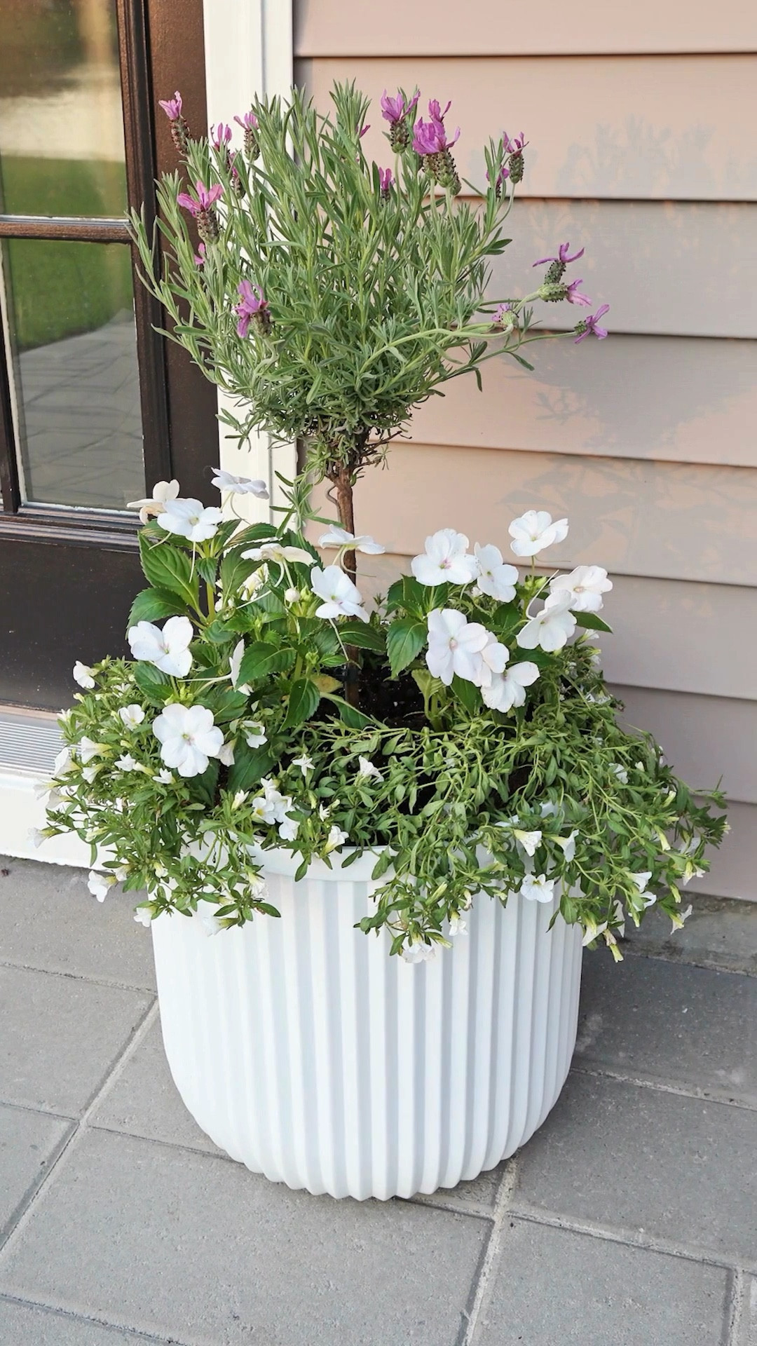 Better Home & Gardens white resin plant pot planter 

#LTKxWalmart #LTKHome #LTKVideo