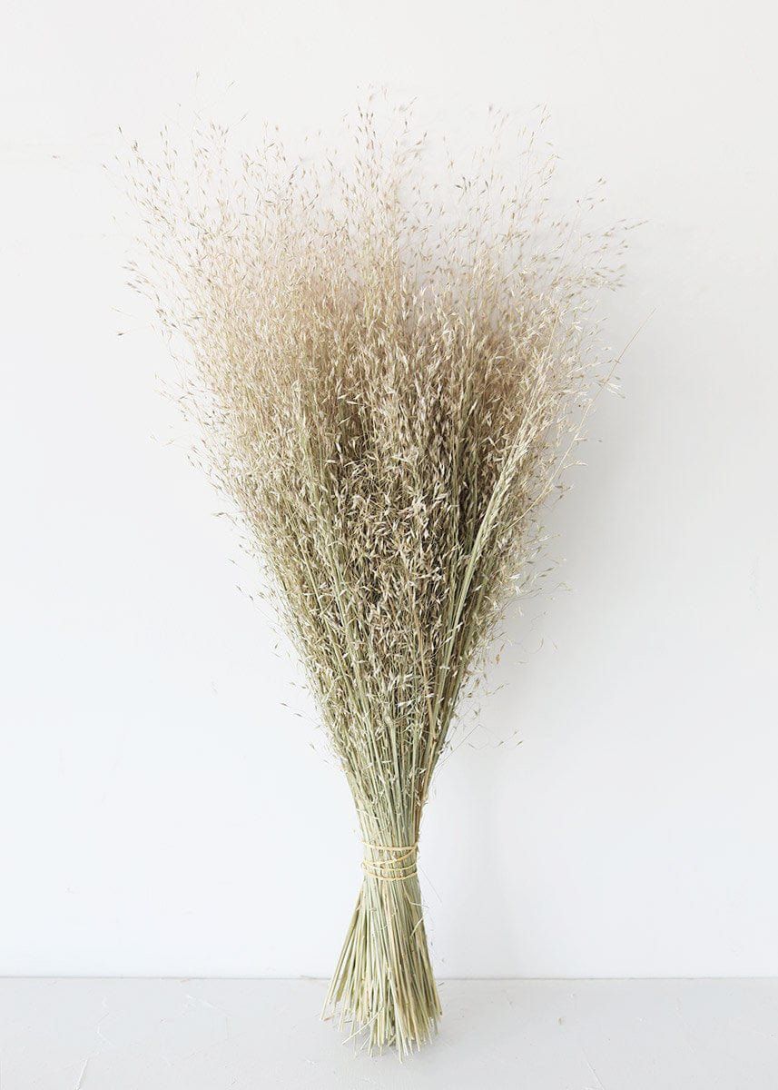 Indian Rice Grass | Dried Grasses & Flowers at Afloral.com | Afloral