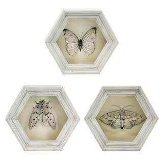 Assorted 8" White Insect Wall Hanging, 1pc. by Ashland® | Michaels | Michaels Stores