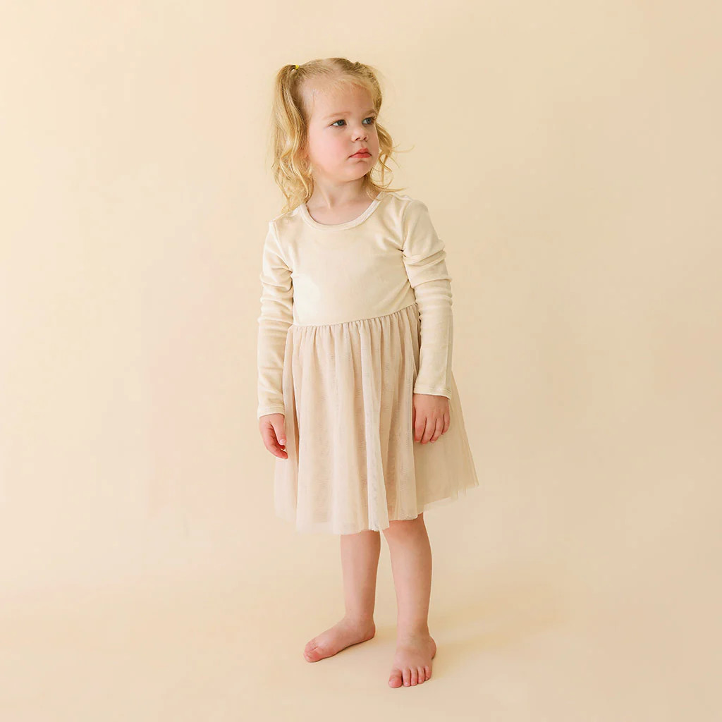 Solid Brown Long Sleeve Bisque Velour Tulle Dress | Posh Peanut® | Posh Peanut