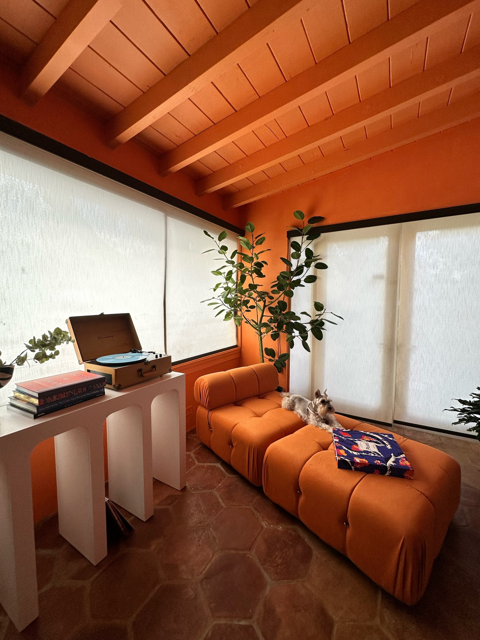 Florida Room Progress. Paint is Valspar Tangerine 

#LTKhome