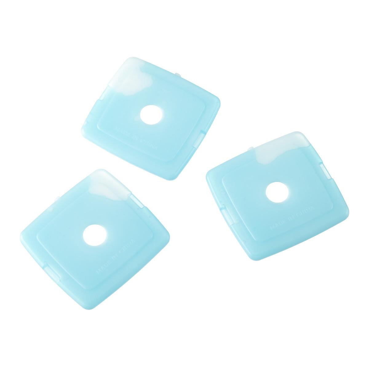 Lunch Coolers Ice Packs Pkg/3 | The Container Store