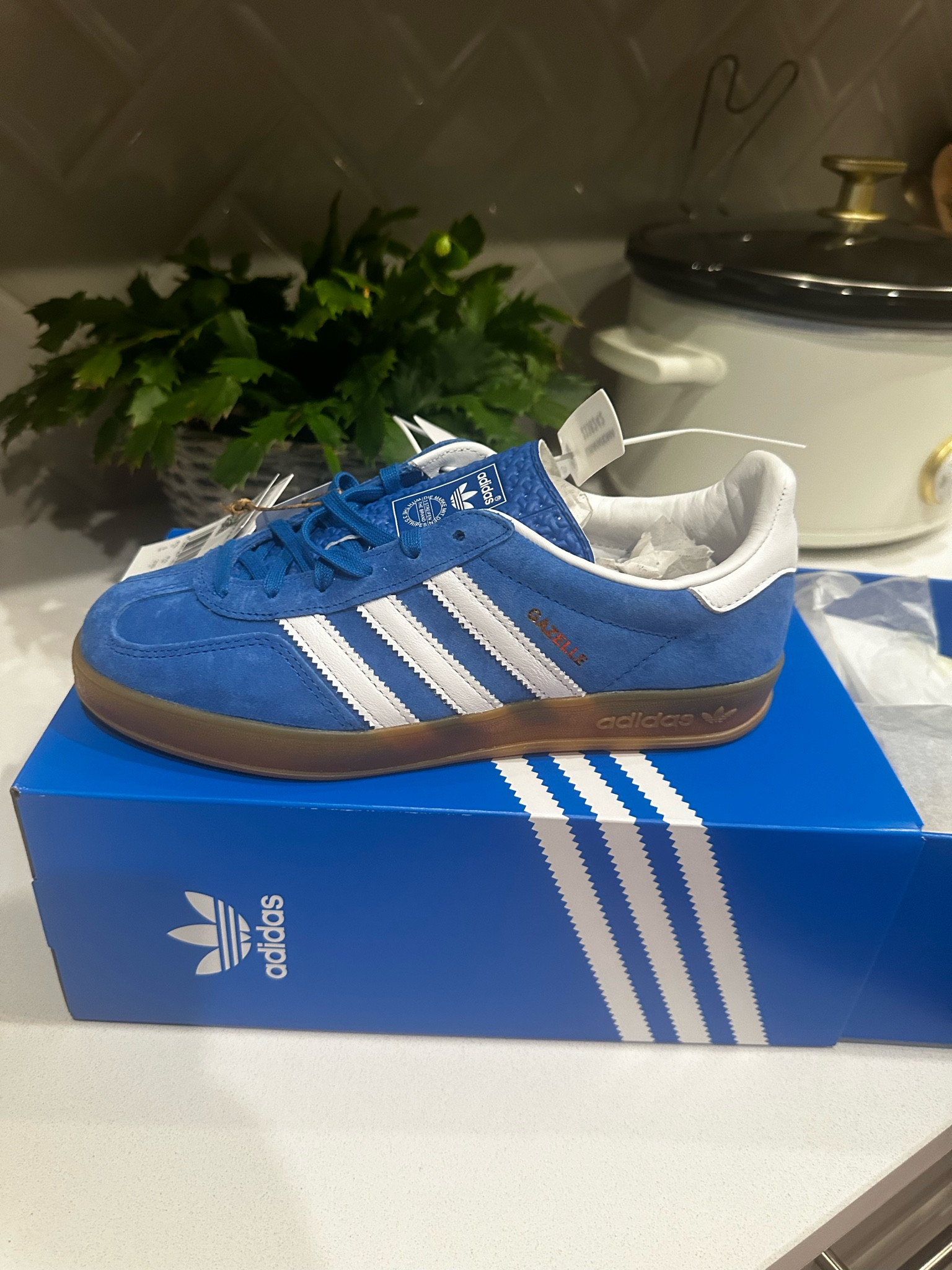 
Finally grabbed these 
Size down 1/2 size -  I got the 4.5 UK and I’m usually a 7/7.5 
Sneakers 
Adidas sneakers 
Adidas 
Sneakers 
Women sneakers 
Blue 
 #ltkshoecrush #ltkactive #ltkstyletip    #ltktravel #ltkvideo
