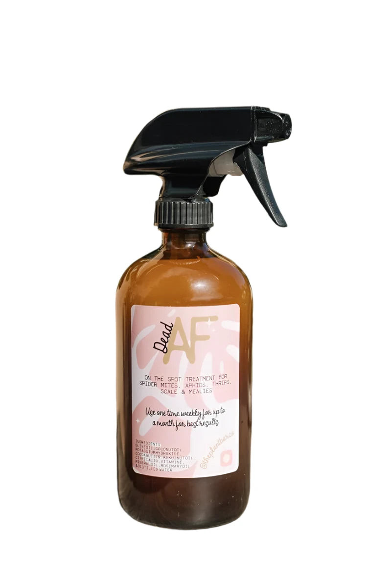 Wholesale Partner: Plant Bar Co - Dead AF Pest Spray | Sol Soils