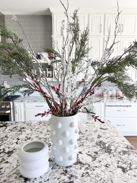 Christmas stems and berries cypress line branches white dotted vase holiday decor kitchen modern farmhouse glam 

#LTKSeasonal #LTKhome #LTKHoliday