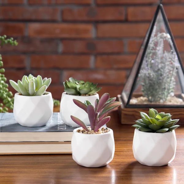 4 - Piece Artificial Succulent Plant in Pot Set | Wayfair North America
