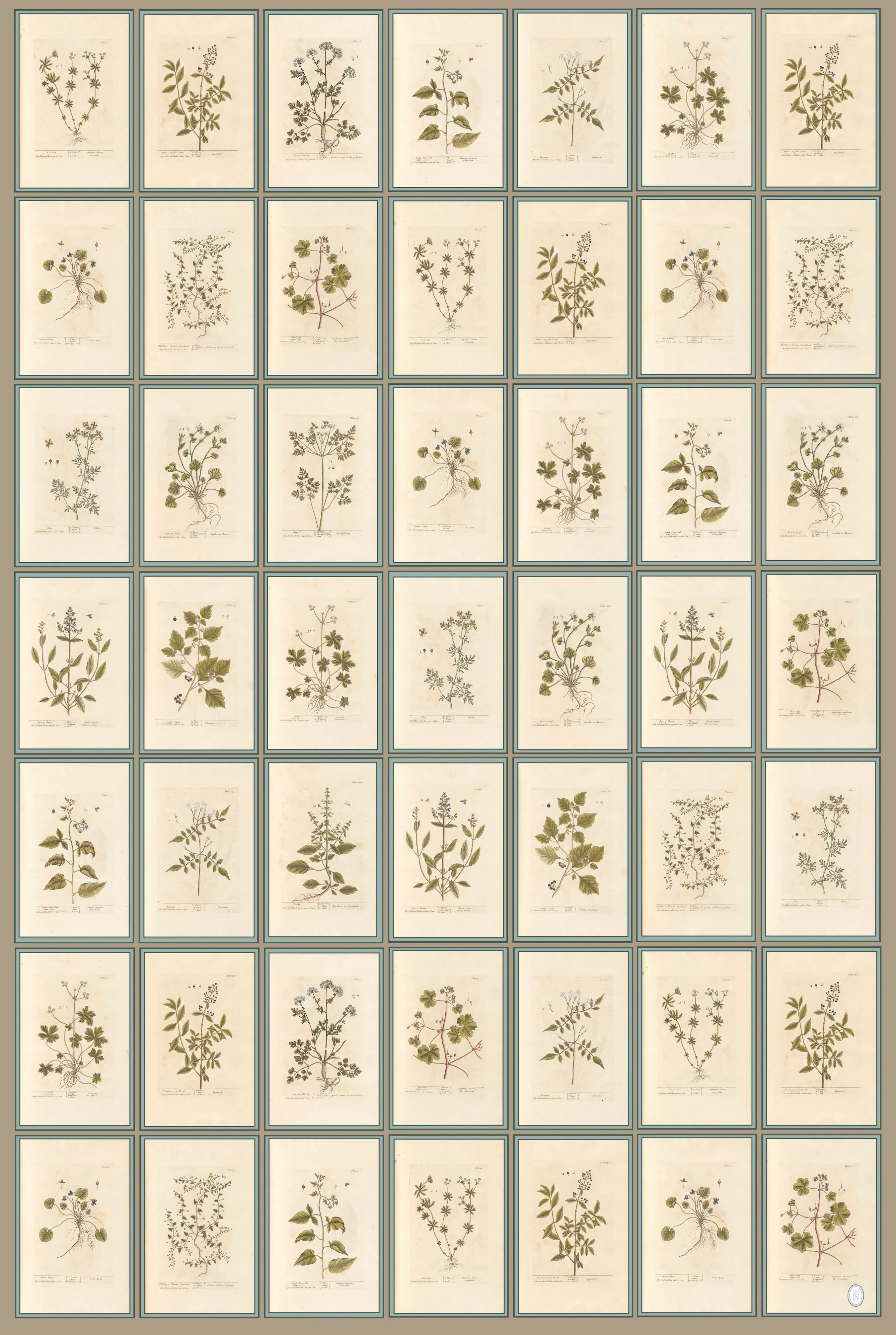 Antique Botanical Wrapping Papers - 4 sheets | JSH Home Essentials