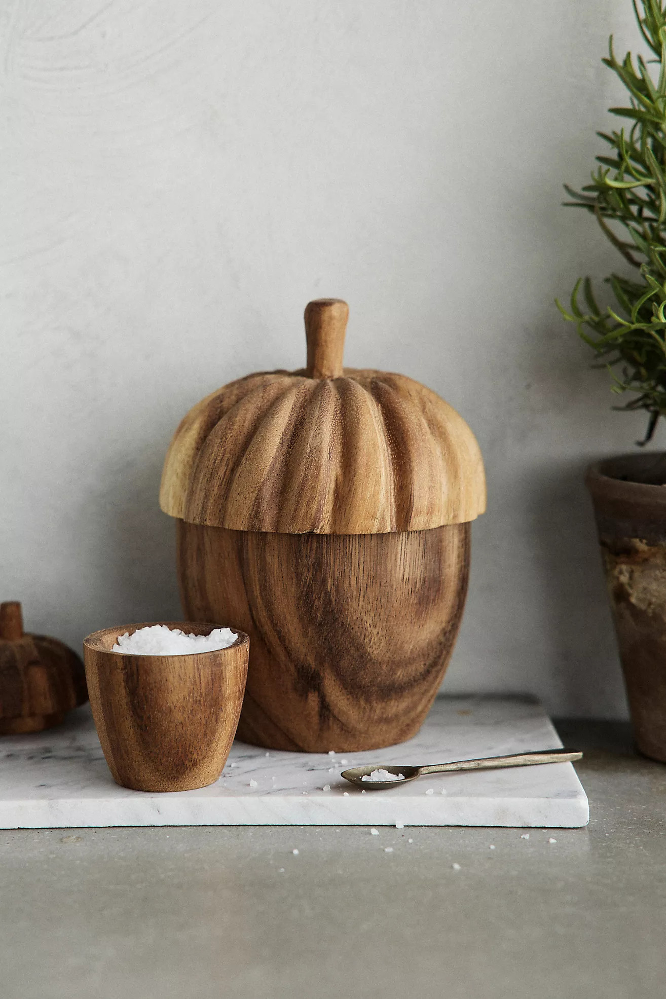 Acorn Wood Jar | Anthropologie (US)