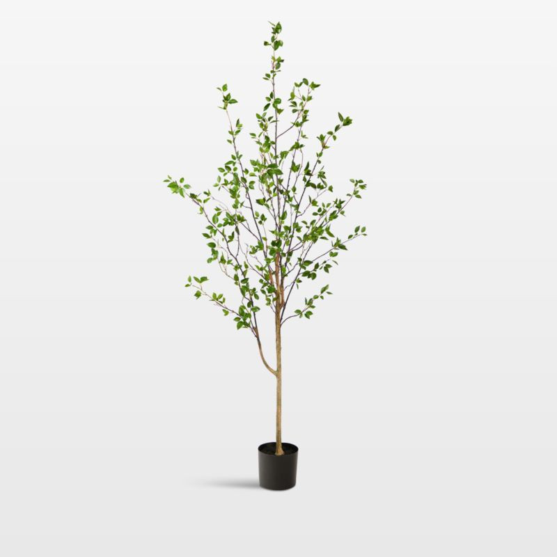 Faux Minimalist Citrus Tree 6.5' | Crate & Barrel | Crate & Barrel