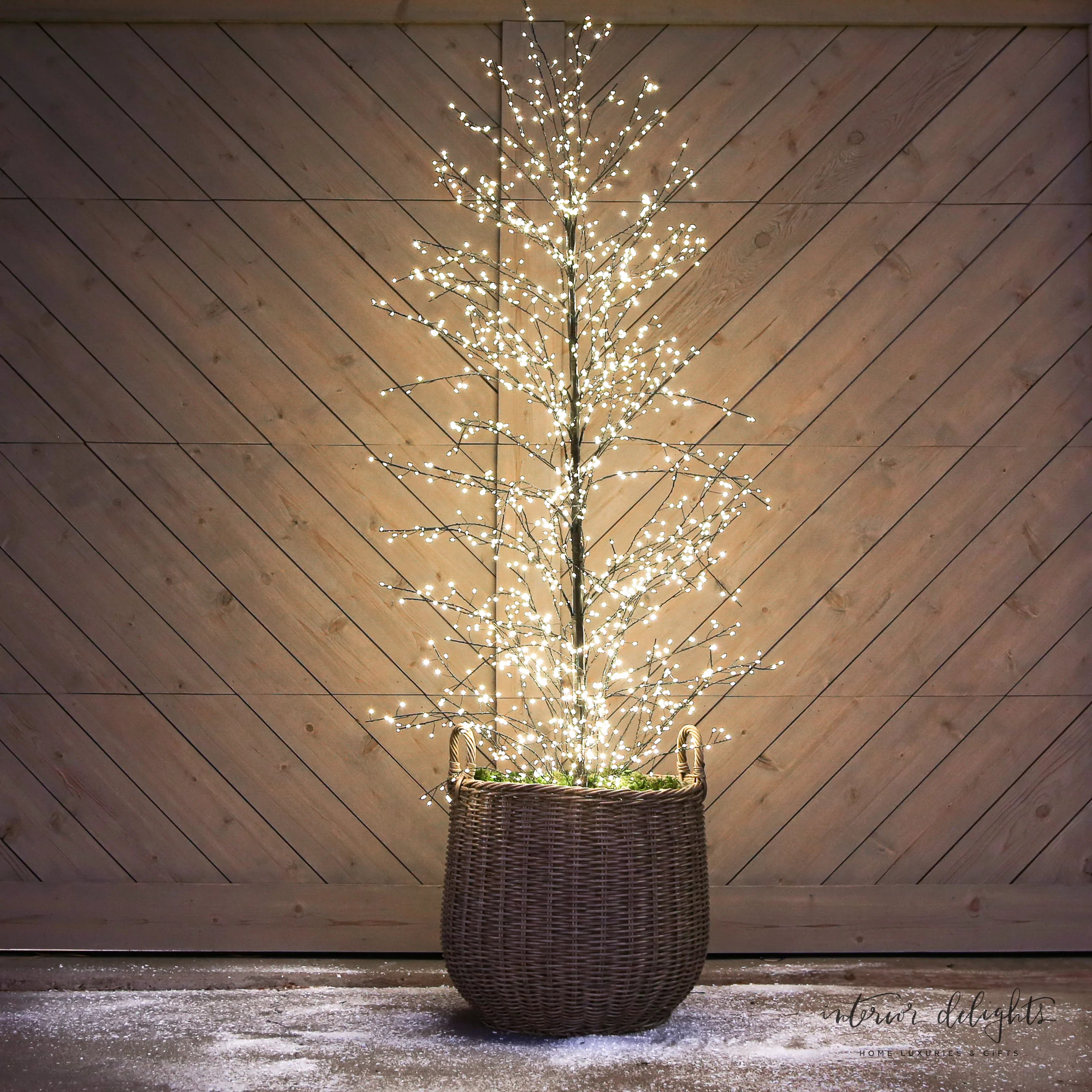 Curated Set: 2 Full Trunk LED Trees and 2 Round Willow Baskets | Interior Delights