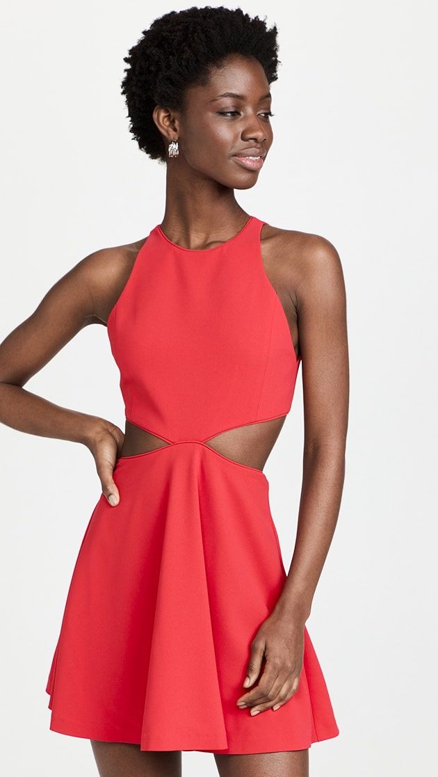 Cara Sleeveless Fit and Flare Cutout Mini Dress | Shopbop