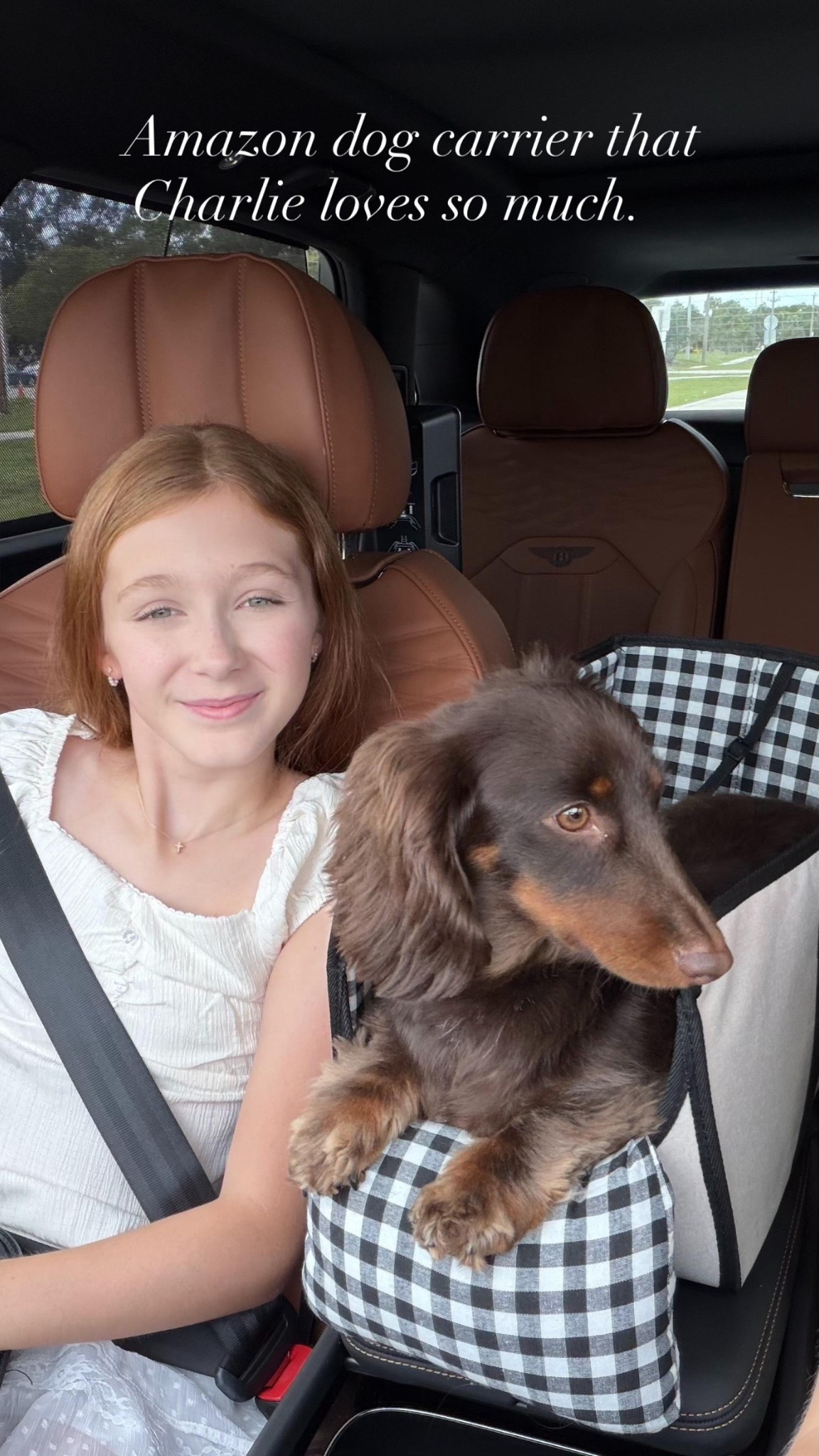 Amazon dog carrier that Charlie loves so much 🤎

#LTKOver40 #LTKU #LTKSeasonal