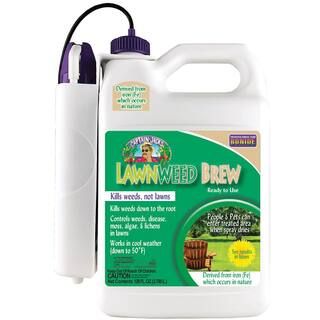 Bonide Lawnweed Brew RTU Gal Battery Powered Wand-2615 - The Home Depot | The Home Depot