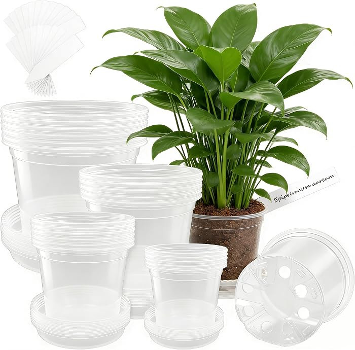 24 Packs Clear Nursery Pots for Plants with Saucers, 7/6/5/4 Inch Plastic Flower Pots with Draina... | Amazon (US)