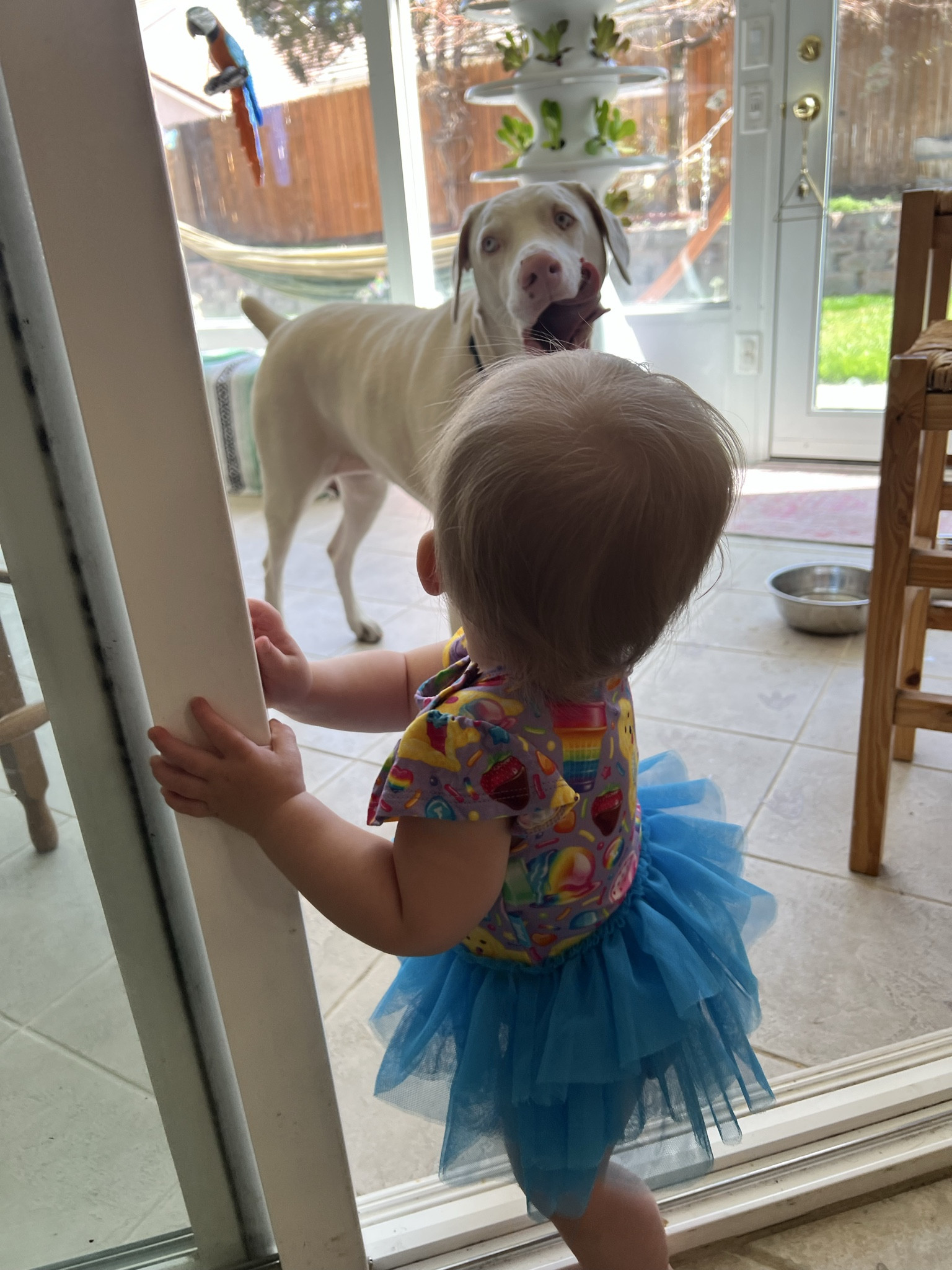 Happy Birthday Chloe! 🎂 

For Chloe’s first birthday she wore her Lisa Frank Tutu dress 🥰🎀🌈 It’s from posh peanut and a little pricey ($56 last I checked) but she’s been wearing it for 7 or 8 months now!! The bamboo is super soft and stretches like magic so she can wear it longer than most of her baby clothes. 

#babygirl #lisafrank 

#LTKBaby #LTKKids