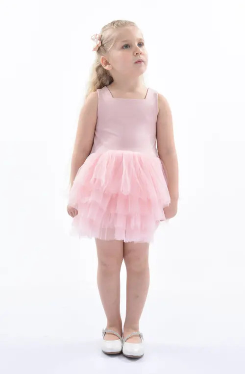 Mimi Tutu Solid Color Tutu Dress in Blush Pink at Nordstrom, Size 6 | Nordstrom