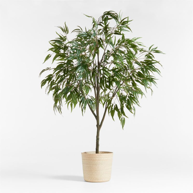 Potted Faux Long Leaf Eucalyptus Tree 9' + Reviews | Crate & Barrel | Crate & Barrel