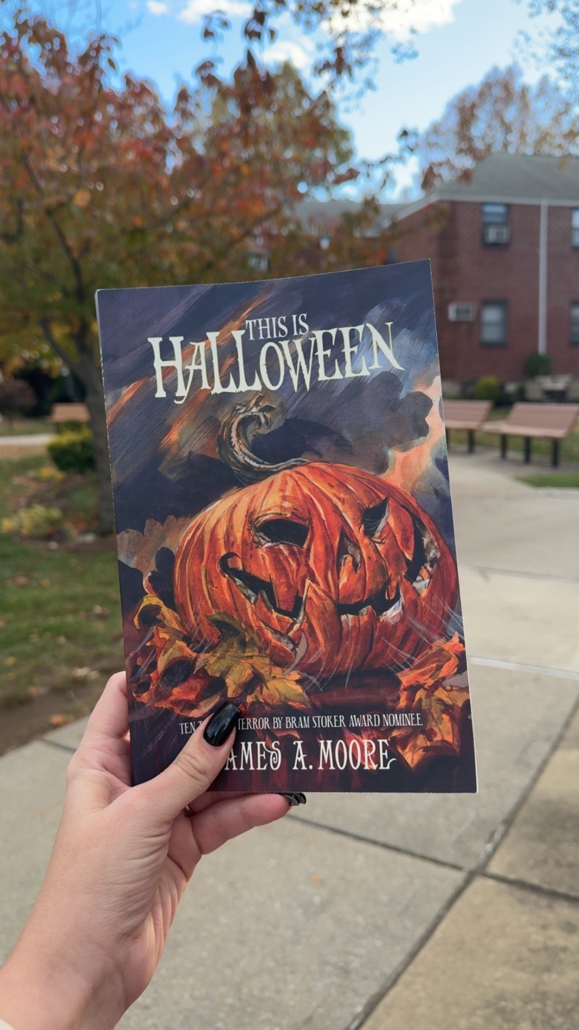 SEASONAL READS !
there is something about reading a good book where the story matches the season. a halloween book in fall, a christmas book in winter (you get the gist.) my latest read was this is halloween by james a. moore, and reading this right around halloween outside where the autumn ambiance, crisp air, ever changing colored leaves, and spooky season surrounded me felt different (in a good way) and i can't wait to do it again and i can't recommend tying your book to the season enough.

#LTKSeasonal #LTKstorytime #LTKSaleAlert