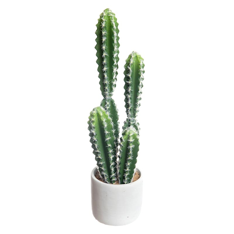 Cactus with White Planter, 18" | At Home