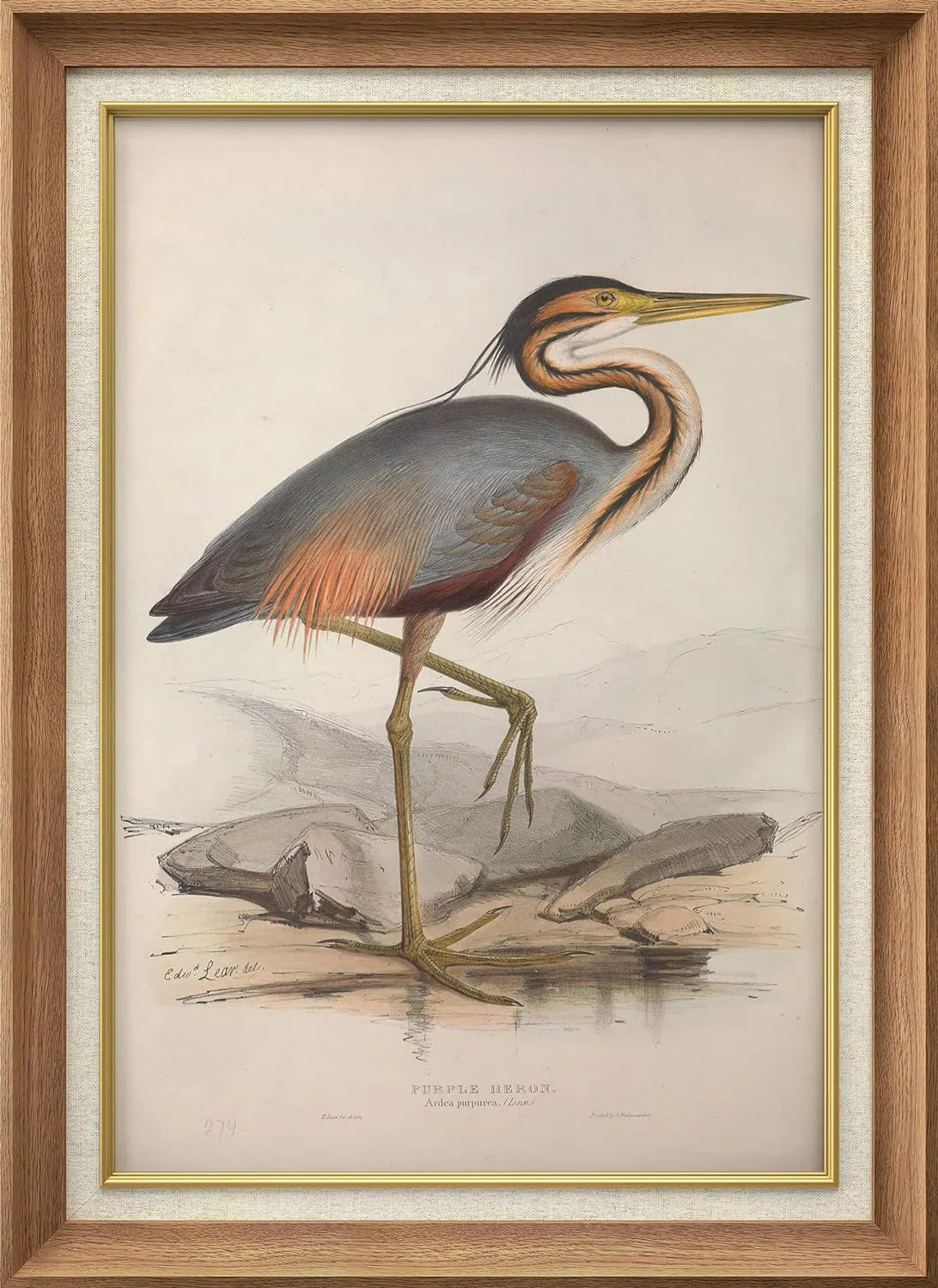 SIGNLEADER Rustic Crane Heron Bird - Single Picture Frame Painting on Canvas | Wayfair | Wayfair North America