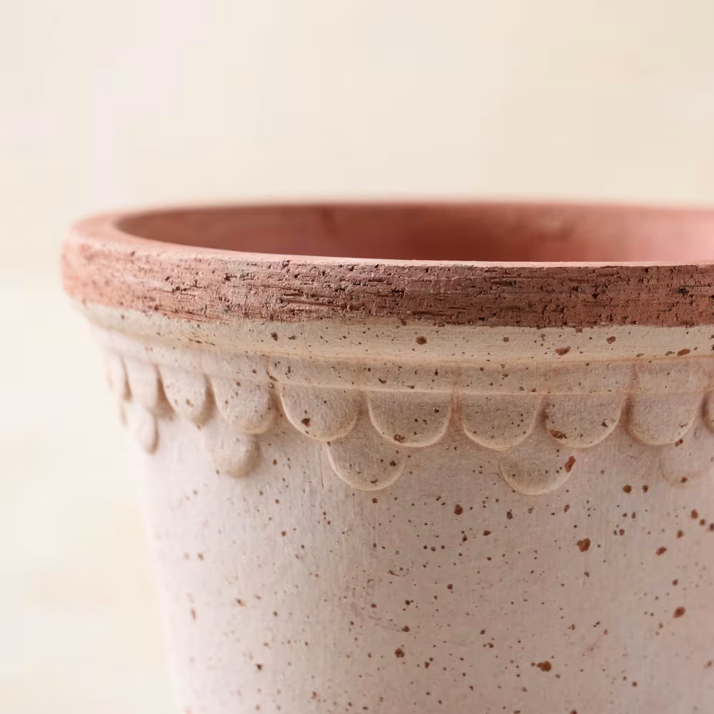 Terracotta Bergs Pot | Magnolia