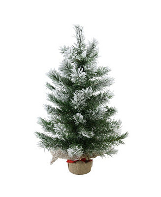 Northlight 22 | Macy's