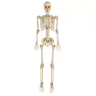 Home Accents Holiday 5 ft. LED Pose-N-Stay Skeleton 5349-60272HD - The Home Depot | The Home Depot