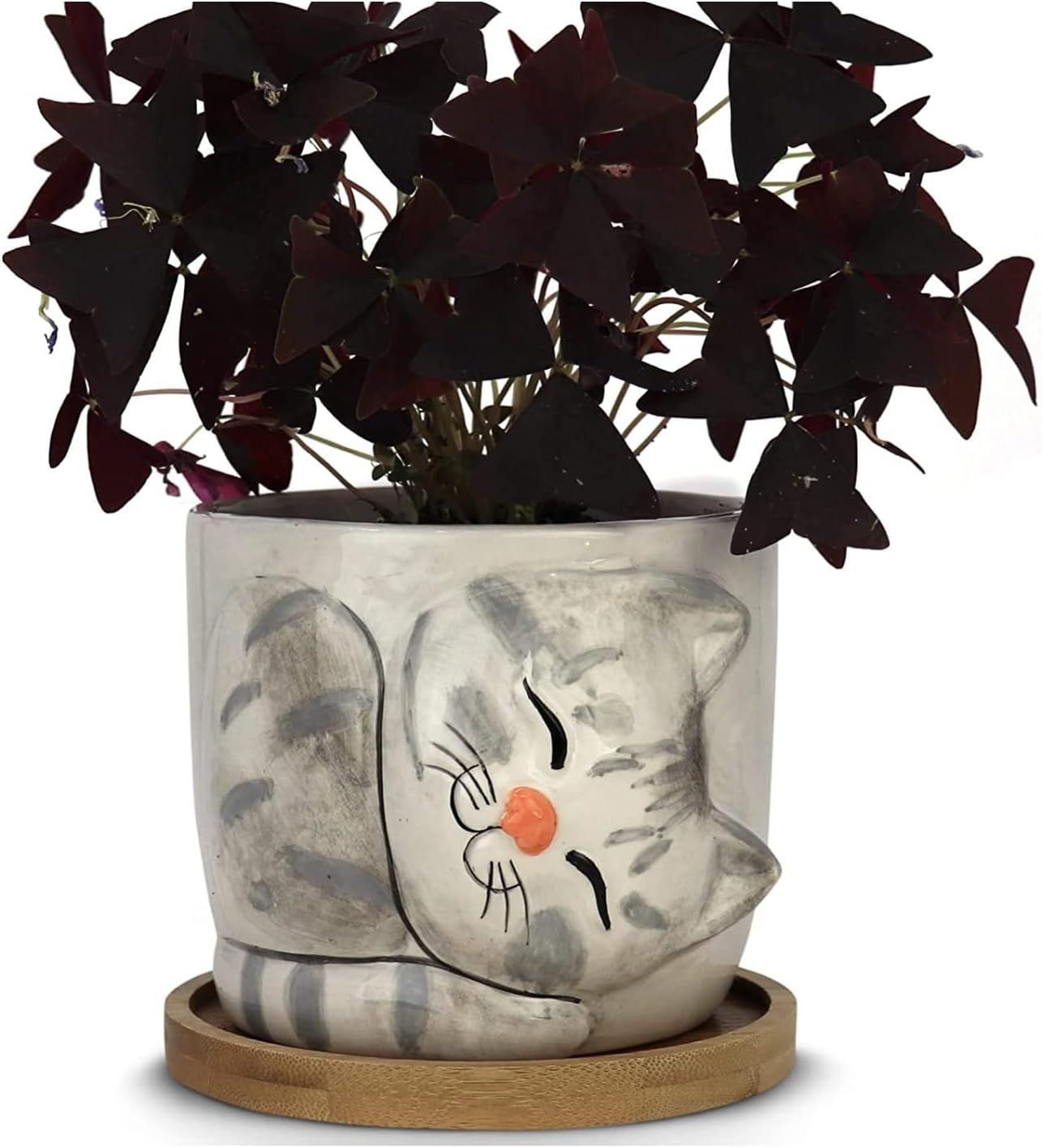 Window Garden Animal Planters - Large Kitty Pot (Barney) Purrfect for Indoor Live House Plants, S... | Amazon (US)