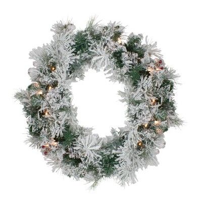 Northlight 24" Prelit Flocked Victoria Pine Artificial Christmas Wreath - Clear Lights | Target