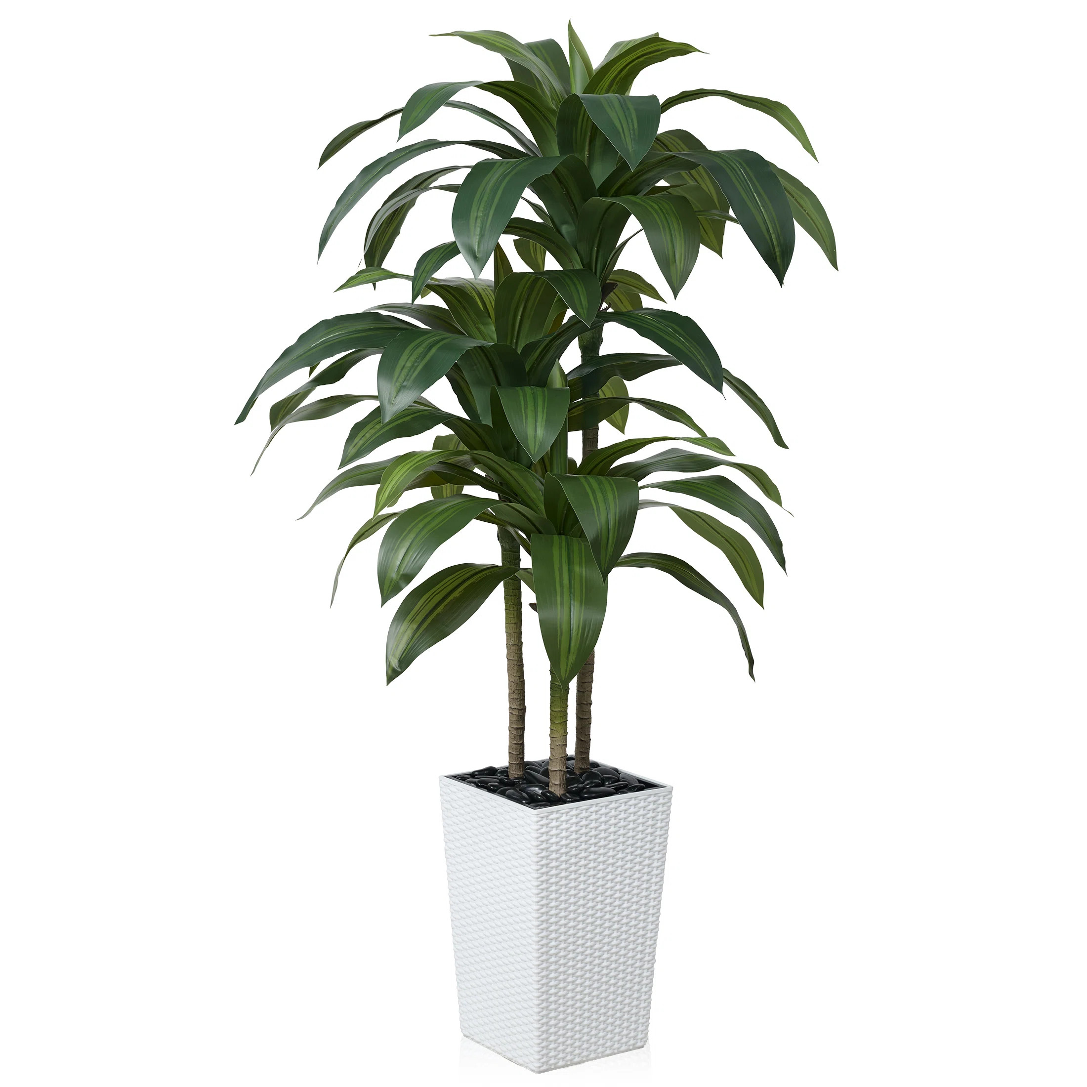 Adcock UV Resistant Artificial Green Dracaena Tree, Faux Tree with Large Base for Indoor Outdoor | Joss & Main