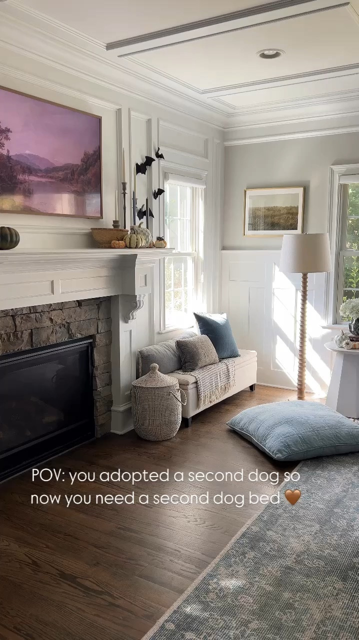 POV: You found a dog bed that’s so good, you bought it twice! Because if something’s going to be sitting out in your living room for years and years, it might as well be beautiful right? We have both the cotton and the velvet version and they’re both 👌🏻 (and hey, they’re on sale today too!!) 

#LTKVideo #LTKSaleAlert #LTKHome