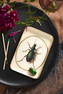 Printed Archival Tray, Extra Small | Terrain