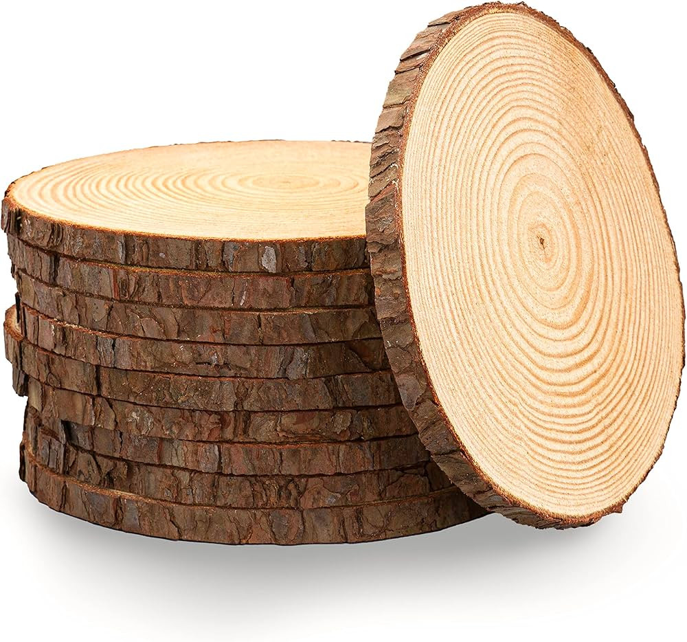 Set of (10) 10-11 inch Wood Slices for centerpieces! Wood Slice centerpieces, Wood Rounds, Tree S... | Amazon (US)
