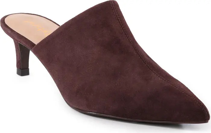 Obsession Pointed Toe Kitten Heel Mule (Women) | Nordstrom Rack