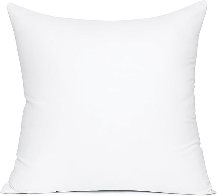 MIULEE 20x20 Inch Throw Pillow Insert Premium Throw Pillow Polyester Microfiber Stuffer Pillow fo... | Amazon (US)