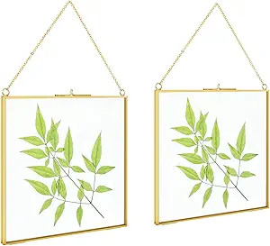 TLBTEK 2 PCS 6 inch Hanging Photo Frame, Double Glass Frame for Pressed Flowers,Clear DIY Vintage... | Amazon (US)