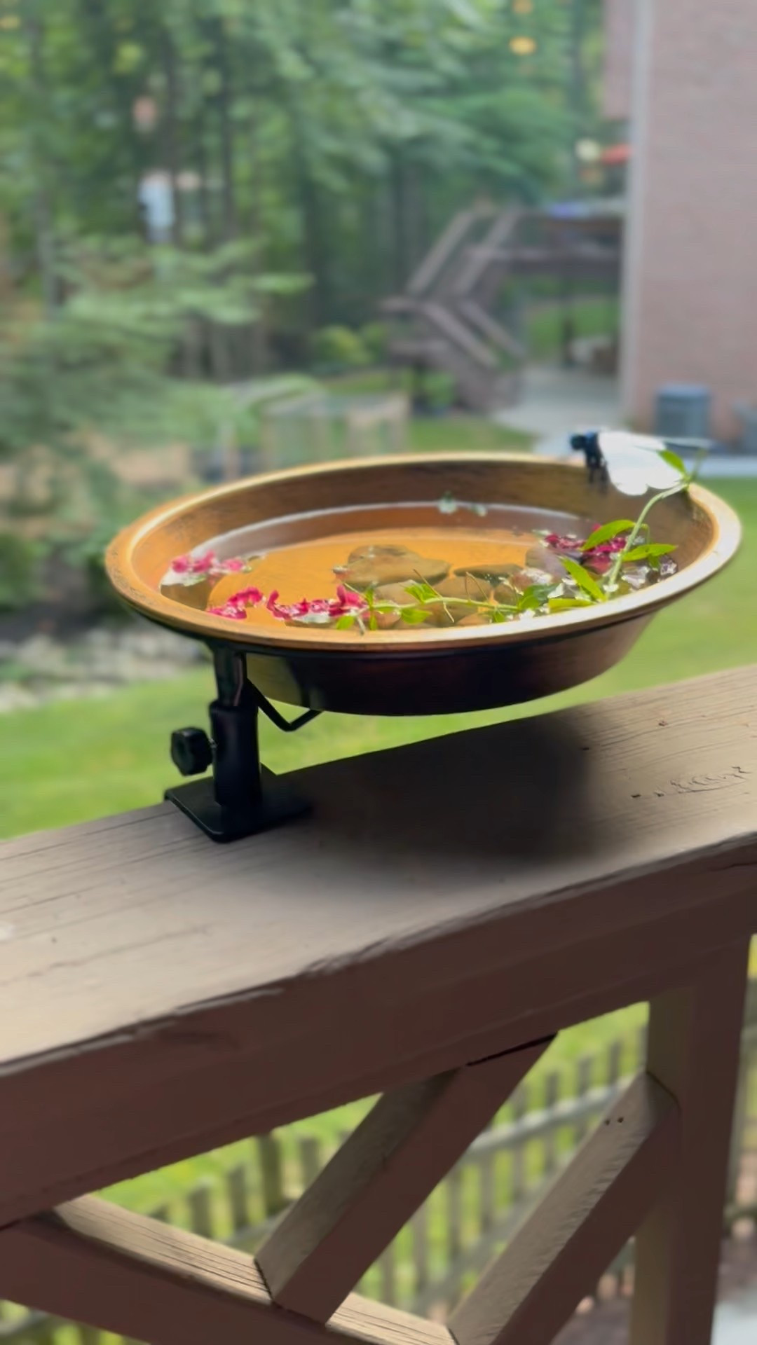Get ready to make your porch the happiest spot for birds this summer! ☀️ I couldn't wait to share my latest discovery: this gorgeous copper bird bath that mounts perfectly onto your porch rail – ideal for even smaller patios or balconies!

But here’s the genius part: the actual bath detaches, making it unbelievably easy to clean. Seriously, it's the only bird bath I've ever found with this feature, and it makes all the difference! The copper finish gives it such an elegant, high-end look that complements any outdoor decor. The birds are going to be so happy with this fresh water source!

If you're passionate about creating beautiful, functional outdoor spaces and always on the lookout for smart home solutions that simplify your life, then you've found your community! Give me a follow for more curated finds that blend style, practicality, and a little bit of magic. 🏡🐦

#LTKHome #LTKGarden #OutdoorDecor #PatioFurniture #BirdFeeder #CopperDesign #SummerDecor #PorchLife #EasyMaintenance #OutdoorLivingSpace #UniqueHomeFinds #BirdFriendly #SummerReady

