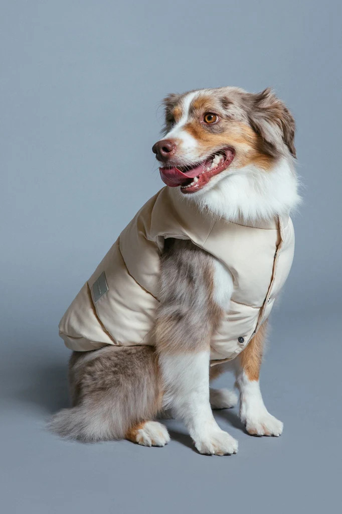 Arabella Puffer Vest | max-bone
