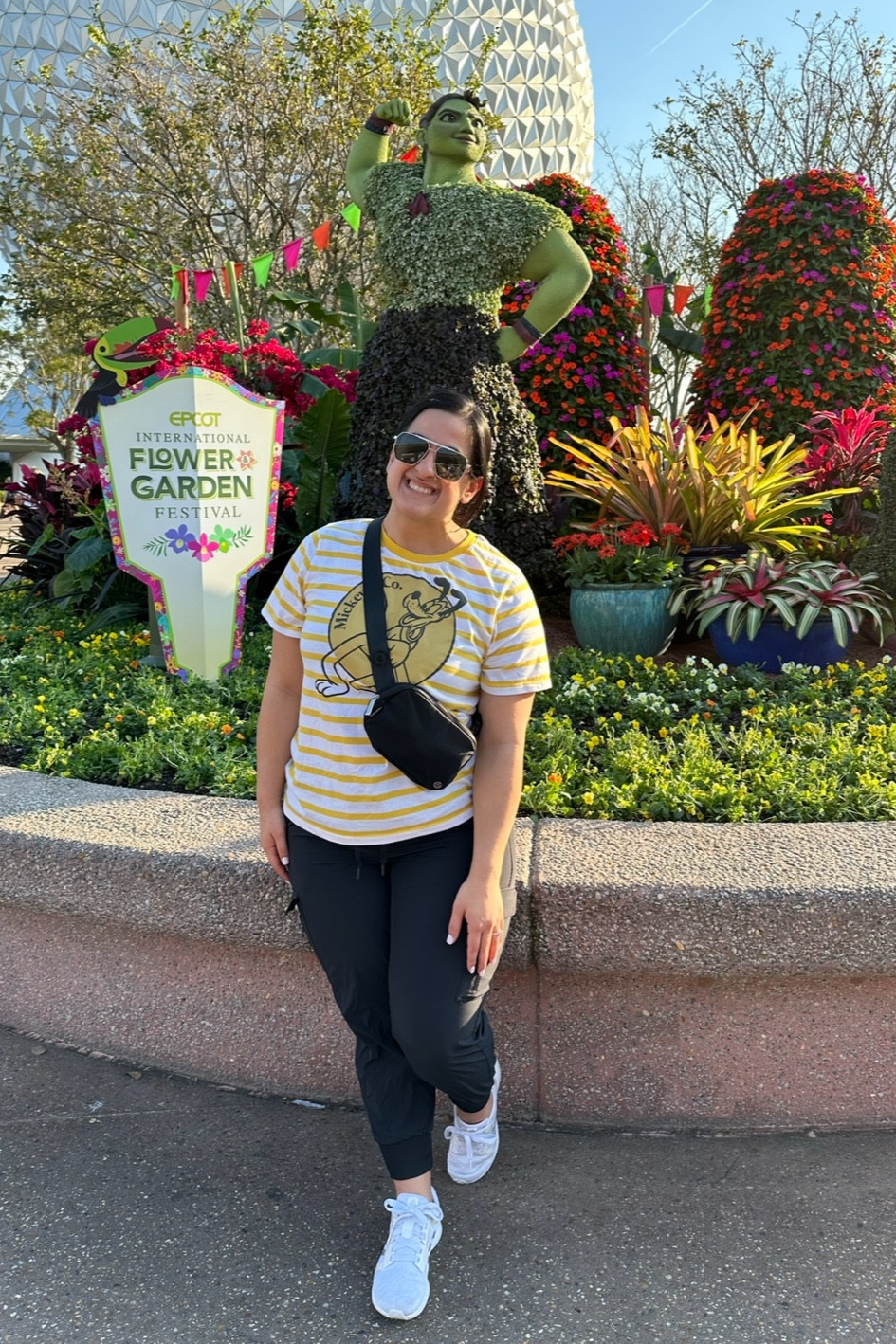 My favorite pants to wear in the parks are on super sale at Target! I have had multiple pairs over the years and they are true to size. 

#LTKxTarget #LTKmidsize #LTKSeasonal