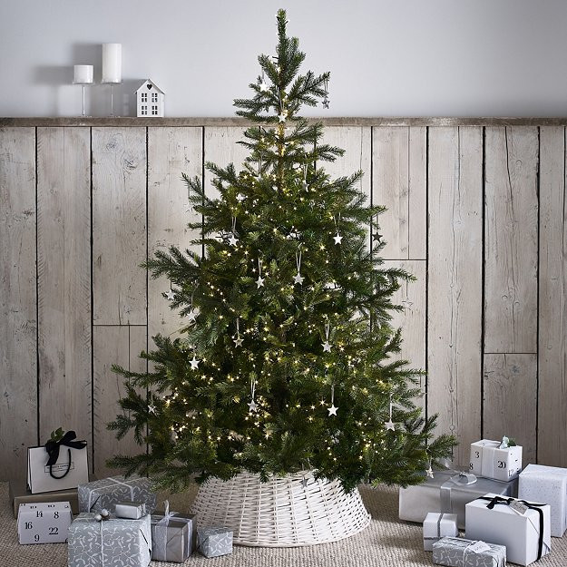 6ft Grand Spruce Christmas Tree | The White Company UK & ROW