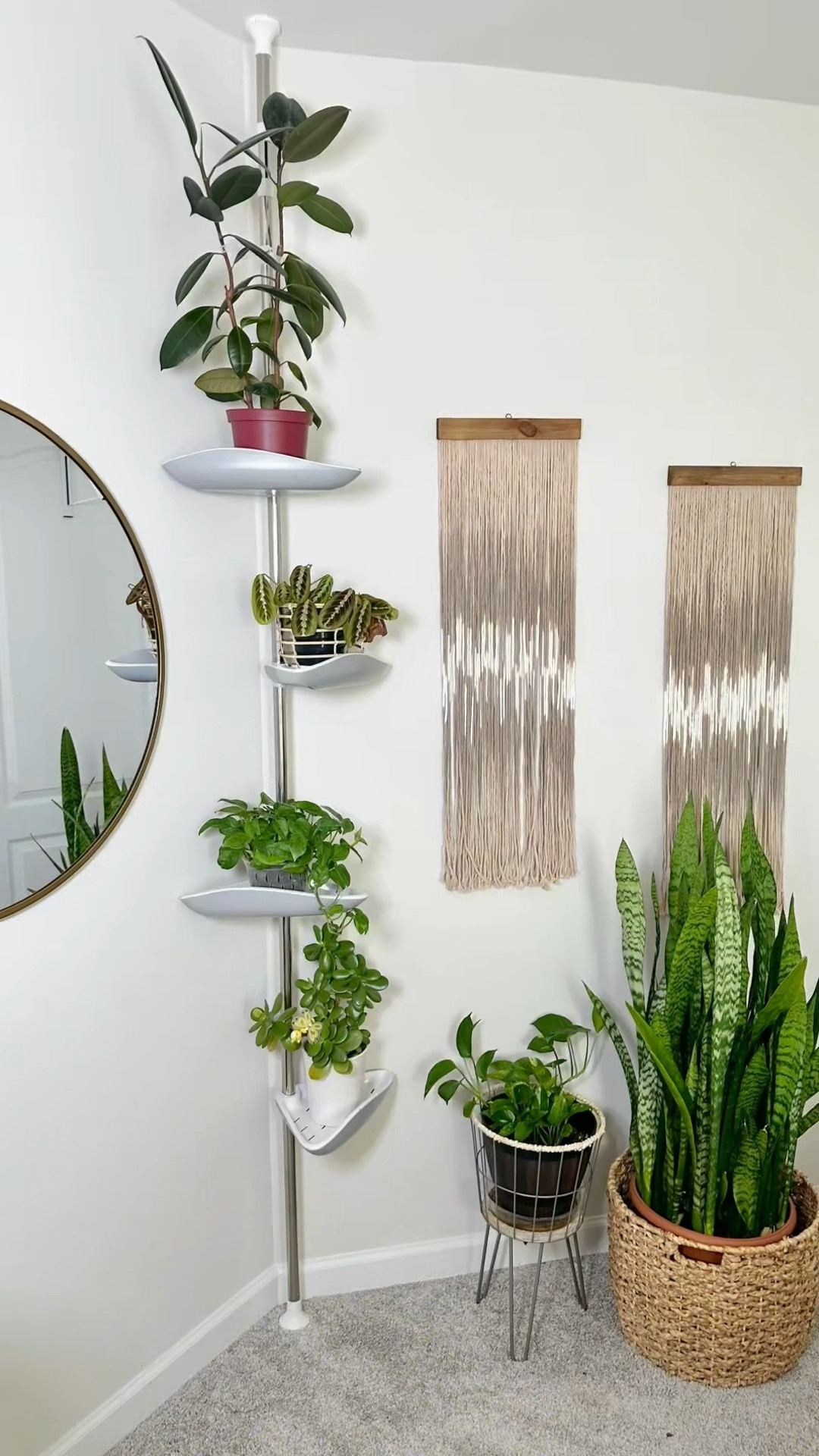 Easy and Damage Free Plant Corner Display 

#LTKStyleTip #LTKWatchNow #LTKHome