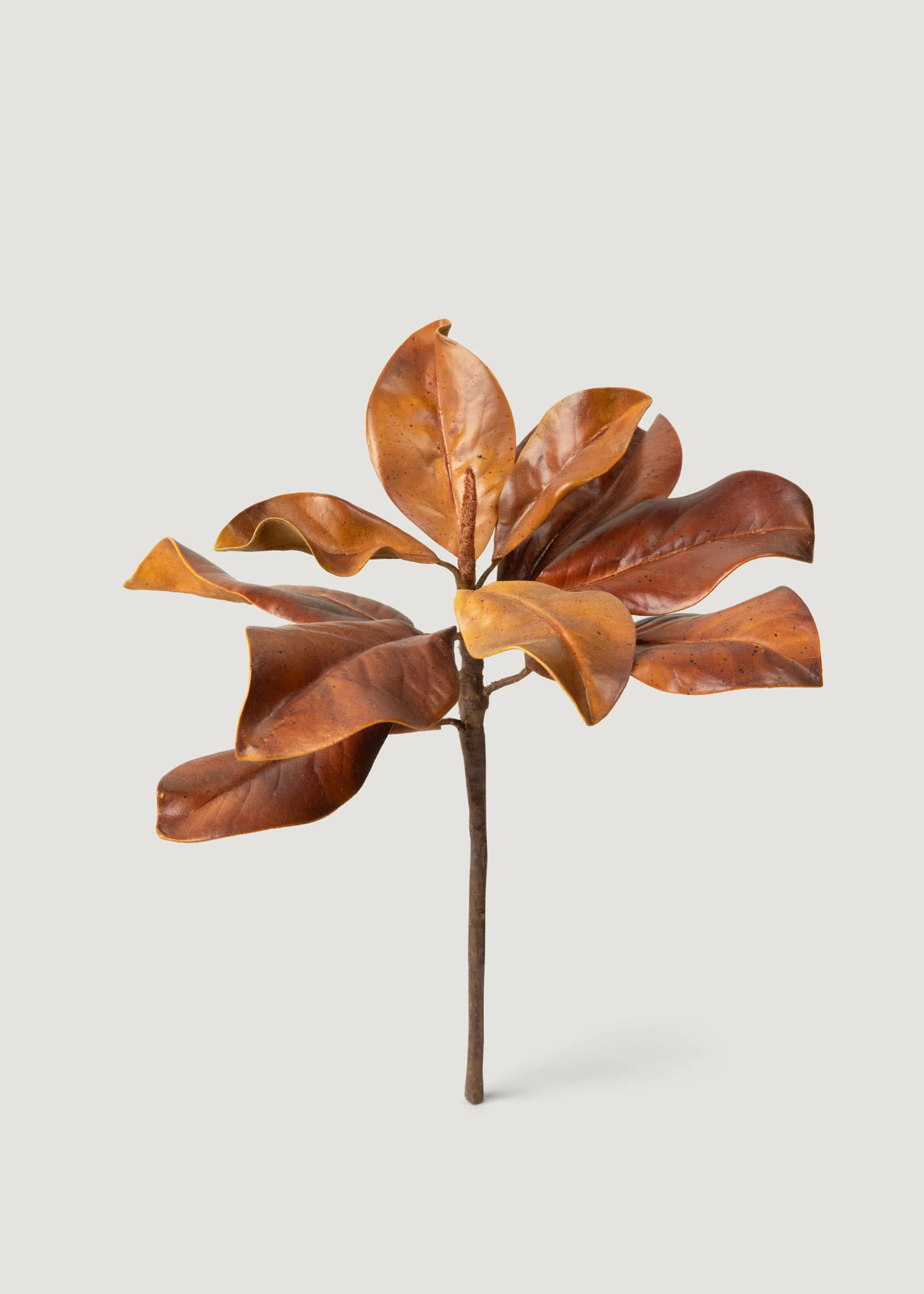 Brown Fake Magnolia Leaf Pick | Artificial Fall Leaves at Afloral | Afloral