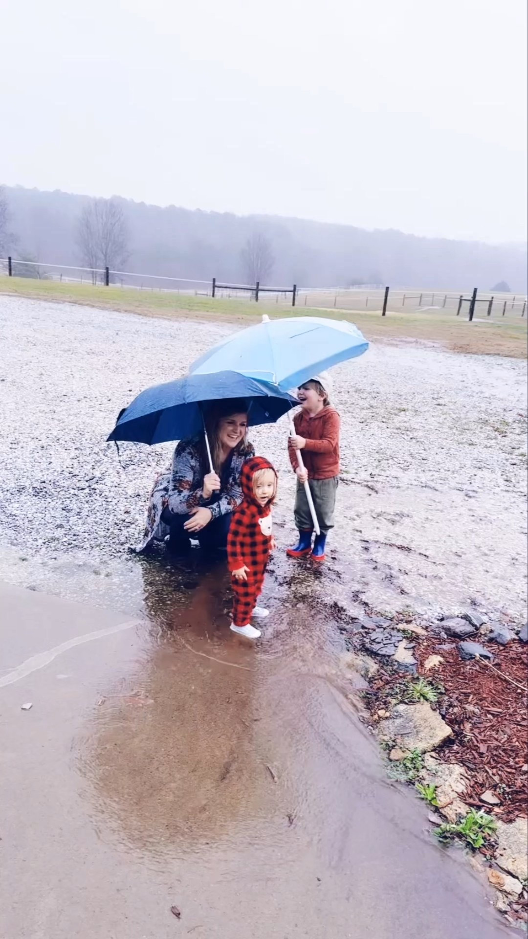 Nothing like a cozy rainy day on the farm y’all!! 🌧️🚜🌳🌾