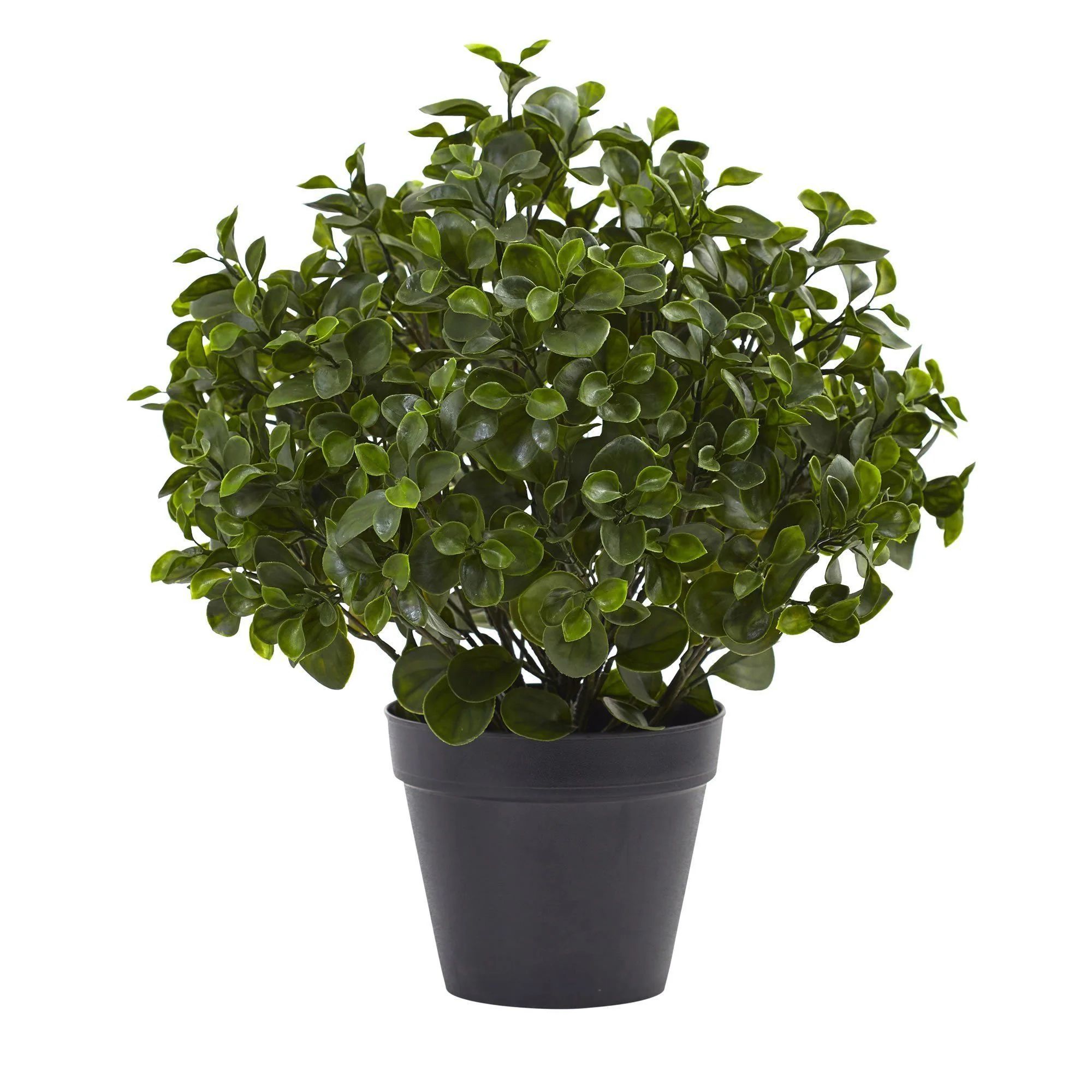 23” Peperomia Plant UV Resistant (Indoor/Outdoor) | Nearly Natural