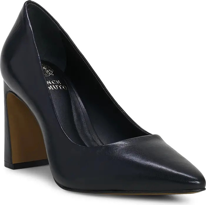 Dalmanara Pointed Toe Pump (Women) | Nordstrom