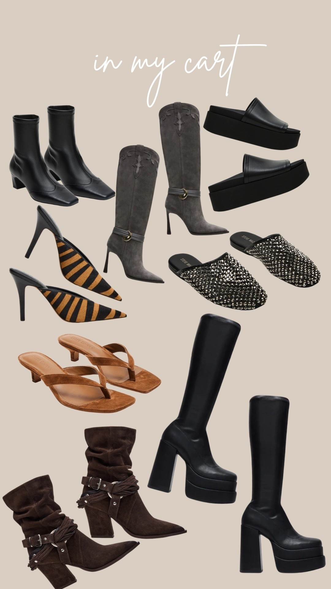 STEVE MADDEN • FALL EDITION