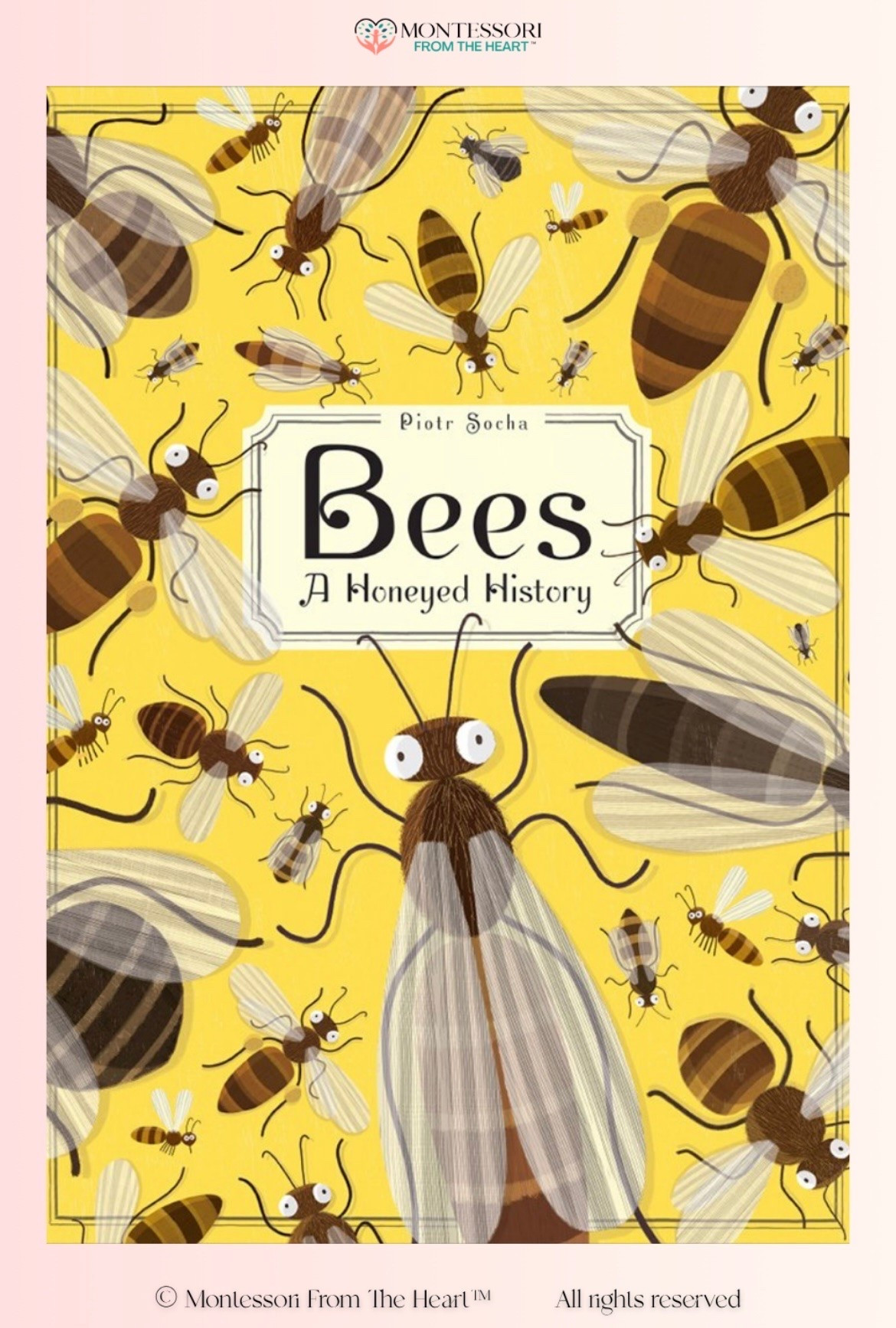 Bees ~ A Honeyed History ~ Books for Kids

#LTKhome #LTKkids #LTKfamily