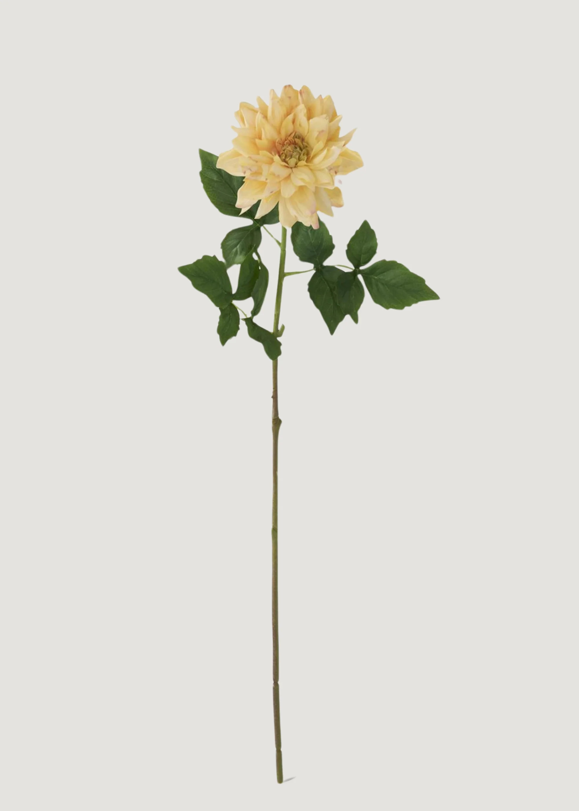 Real Touch Dahlia in Yellow | Luxe Artificial Flowers | Afloral | Afloral